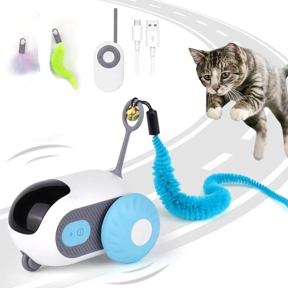 remote-control-cat-toys-41191494_5.jpg